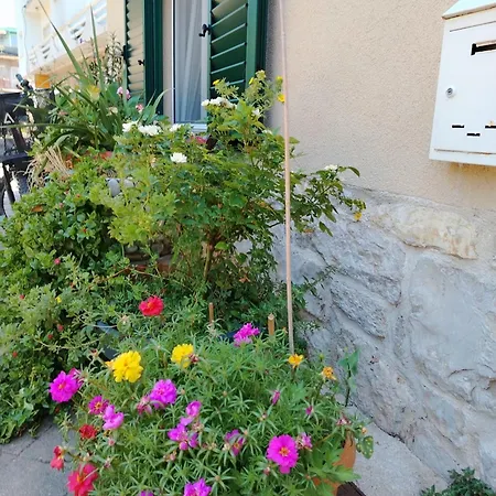 Stela Vodice