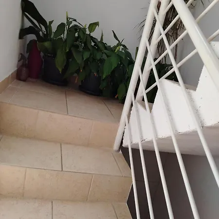 Stela Vodice